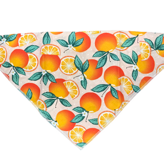 Dapper Dexter Summer Bandanas
