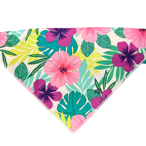Dapper Dexter Summer Bandanas