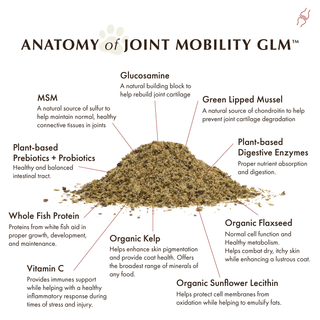 Wholistic Pet Organics Joint Mobility GLM