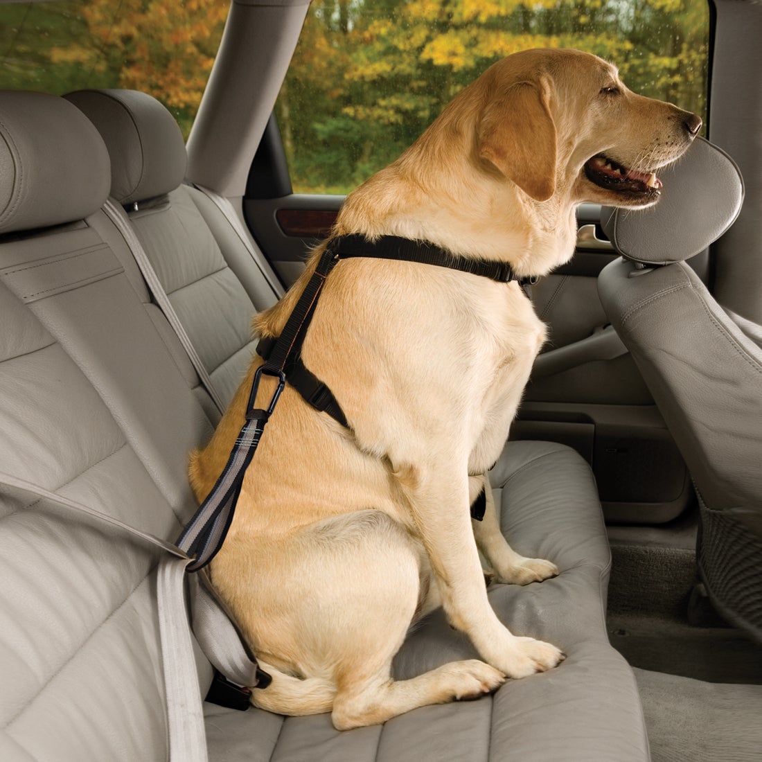 Kurgo Seat Belt Tether Black