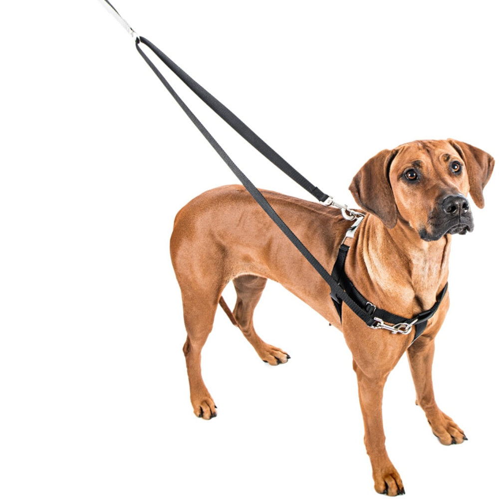 2 Hounds Freedom No-Pull Harness with Leash