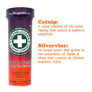 Meowijuana Purrple Passion Silvervine & Catnip Blend