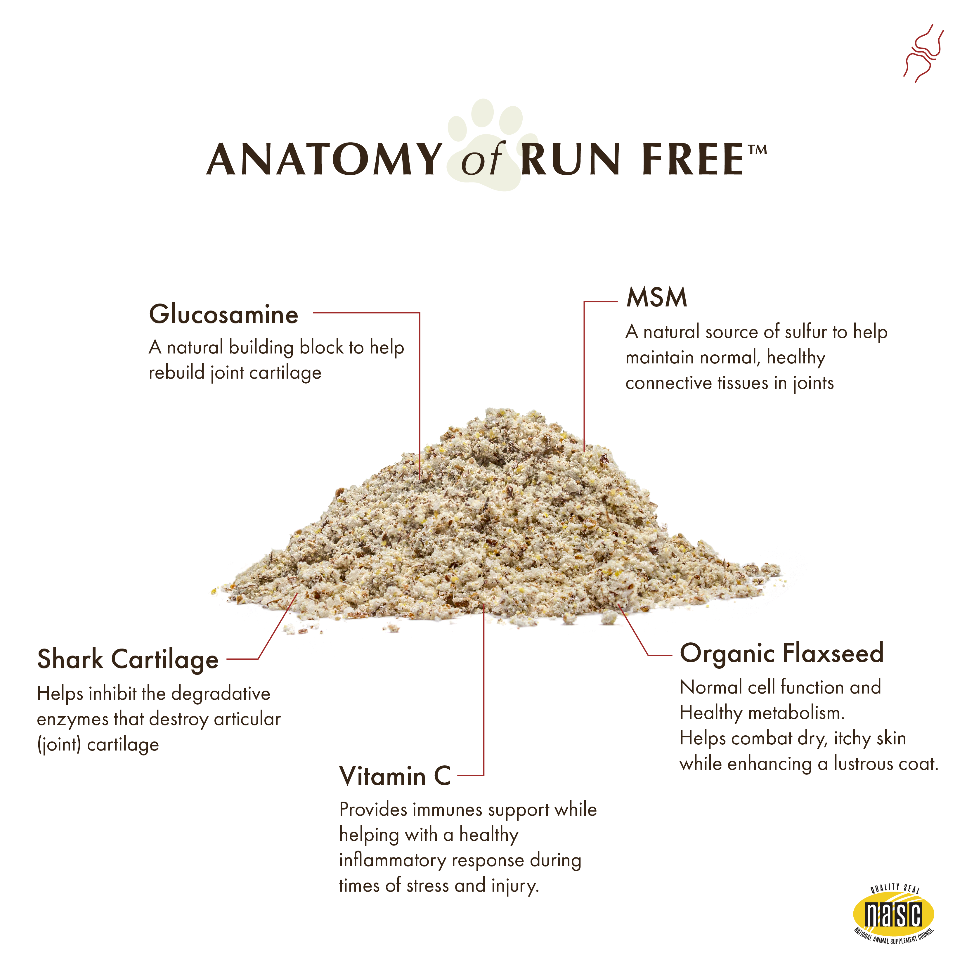 Wholistic Pet Organics Run Free
