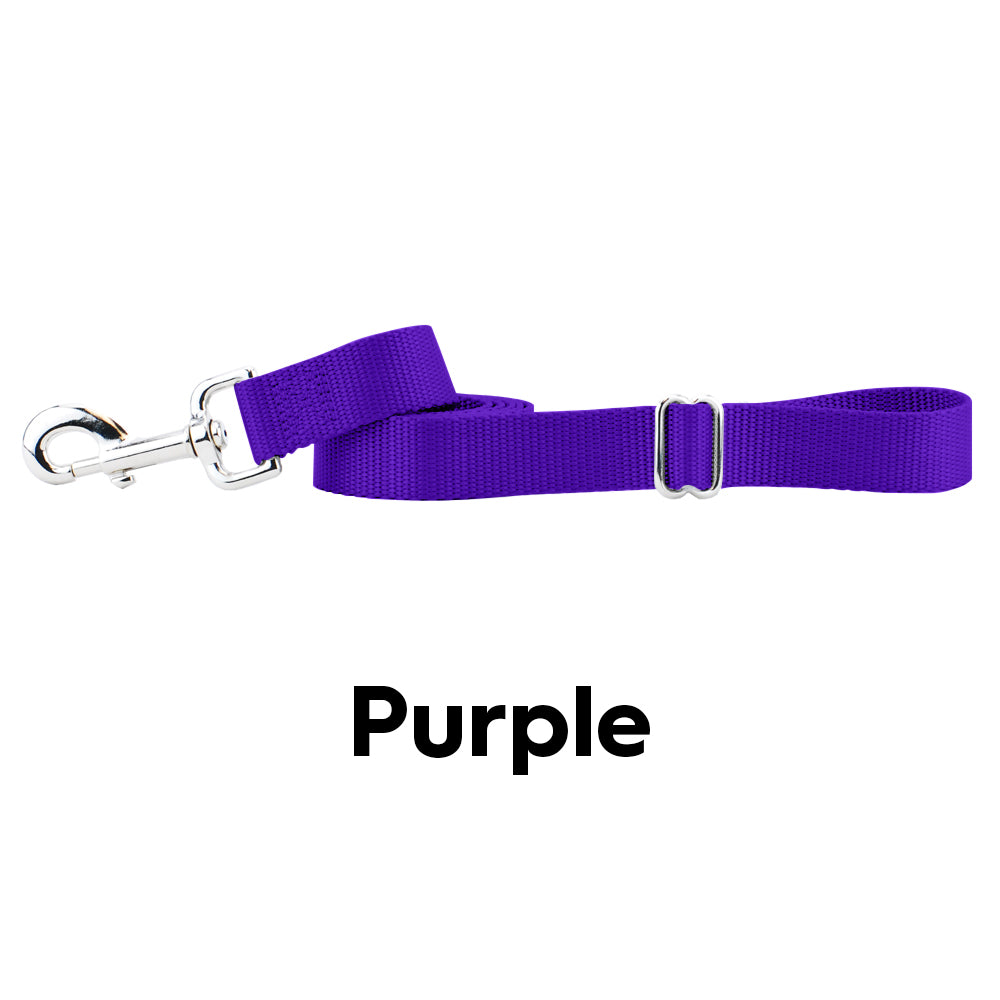 2 Hounds  Nylon Leash with Adjustable Handle