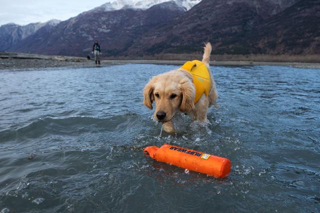Ruffwear Lunker Toy