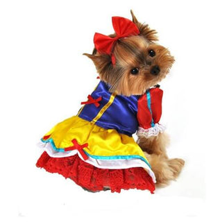 Anit Enchanted Snow Princess Halloween Costume