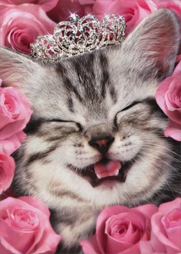 Avanti Birthday Card - Kitten Face Flowers Tiara