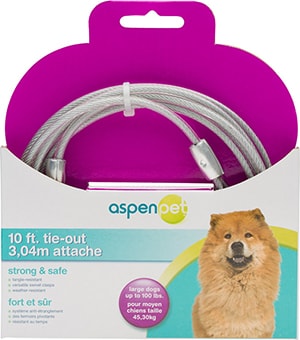 Aspen Pet Dog Tieout 10ft