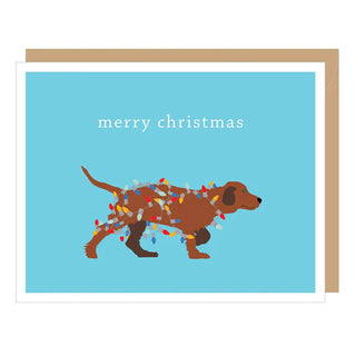 Apartment 2 Cards Holiday Dog With Christmas Lights