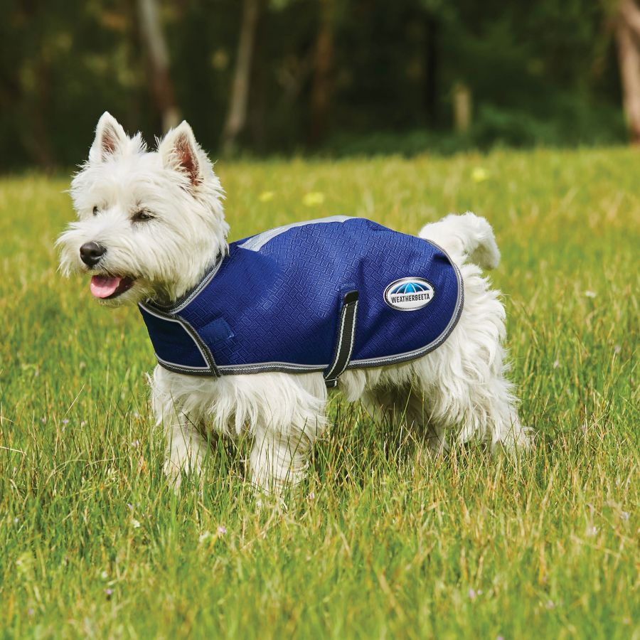 Weatherbeeta Comfitec Premier Free Dog Parka