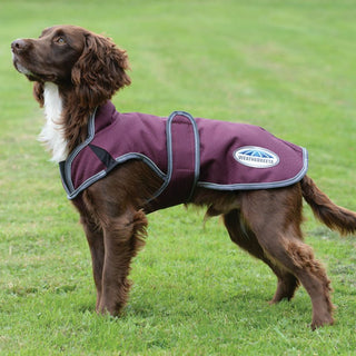 Weatherbeeta Comfitec Premier Deluxe Dog Parka