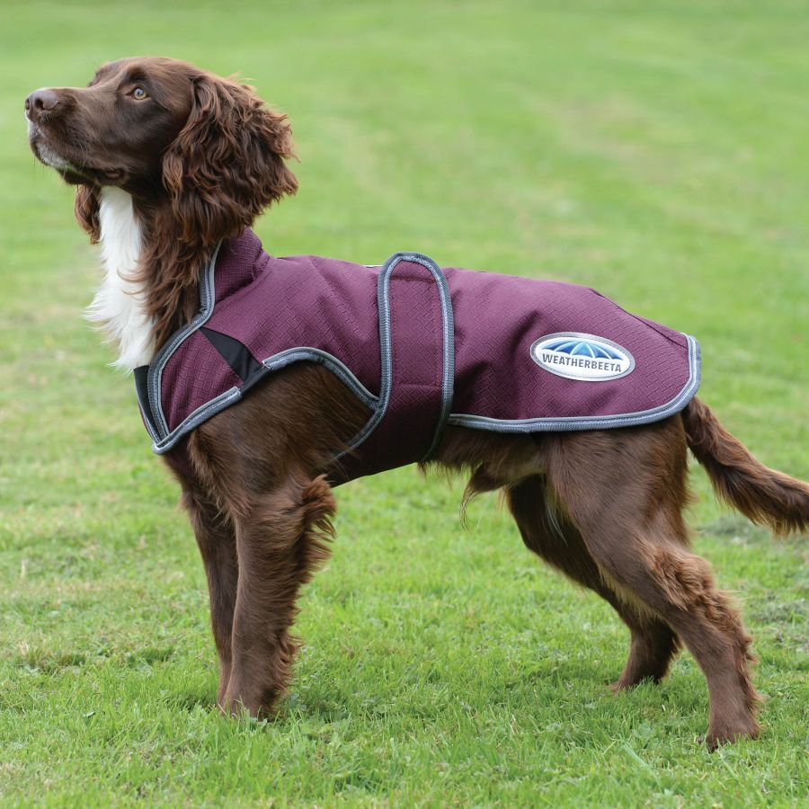 Weatherbeeta Comfitec Premier Deluxe Dog Parka