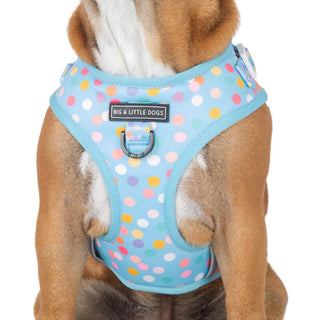 Big and Little Dogs Adjustable Harness: Blue Confetti
