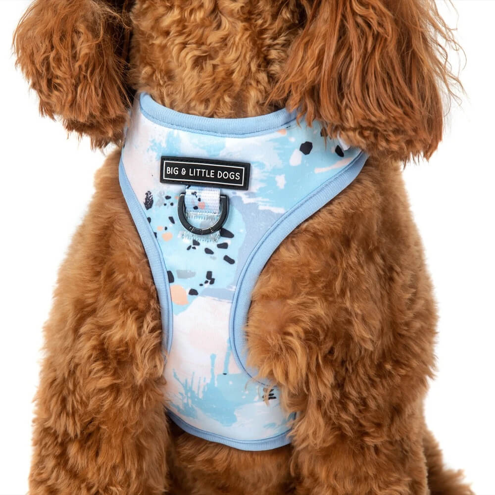 Big and Little Dogs Adjustable Harness: Blue Splatter Terrazzo