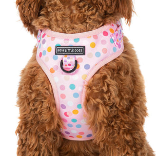 Big and Little Dogs Adjustable Harness: Pink Confetti