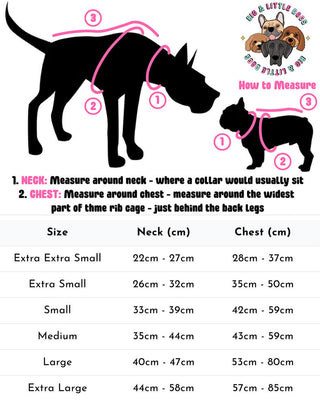 Big and Little Dogs Adjustable Harness: Let's Avo Cuddle