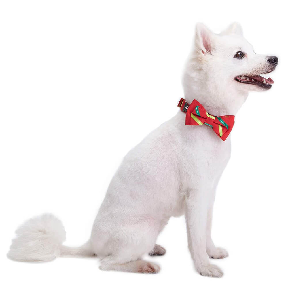 Blueberry Pet Christmas Festival Striped Collar
