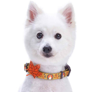 Blueberry Pet Fall Festival Moonlit Turkey Collar