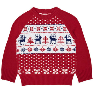 Blueberry Pet Vintage Reindeer Matching Family Christmas Sweater Red/Blue