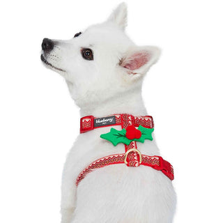 Blueberry Pet Zigzag Chevron Holly Harness