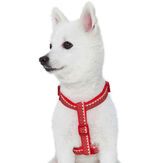 Blueberry Pet Zigzag Chevron Holly Harness