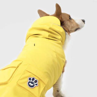 Canada Pooch Tracker Yellow Raincoat