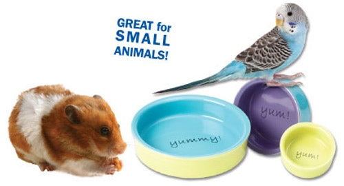 Petrageous Yummy Time! Small Animal Bowl