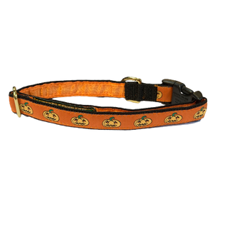 Mackenzie Collar Halloween Pumpkins