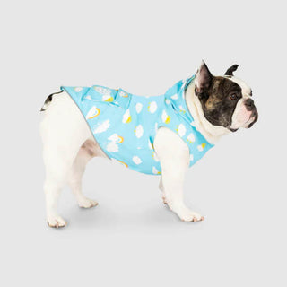 Canada Pooch Wet Reveal Torrential Tracker