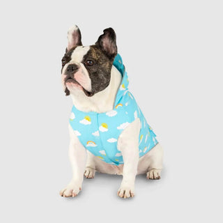 Canada Pooch Wet Reveal Torrential Tracker