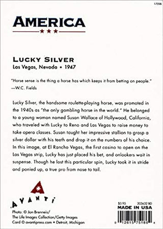 Avanti America Collection Birthday Card - Lucky Silver Plays Roulette