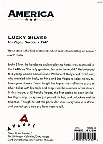 Avanti America Collection Birthday Card - Lucky Silver Plays Roulette