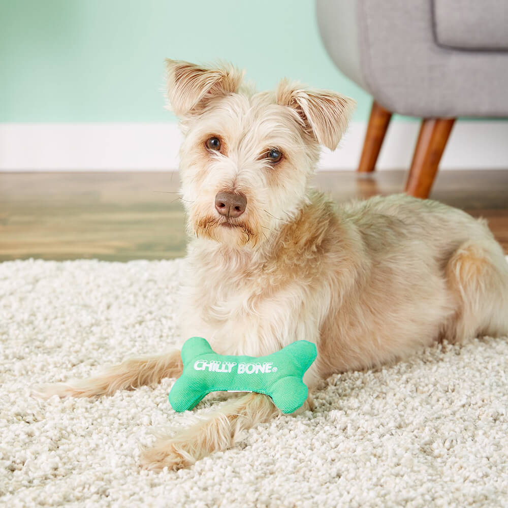 Chilly Bone Freezable Teething Toy