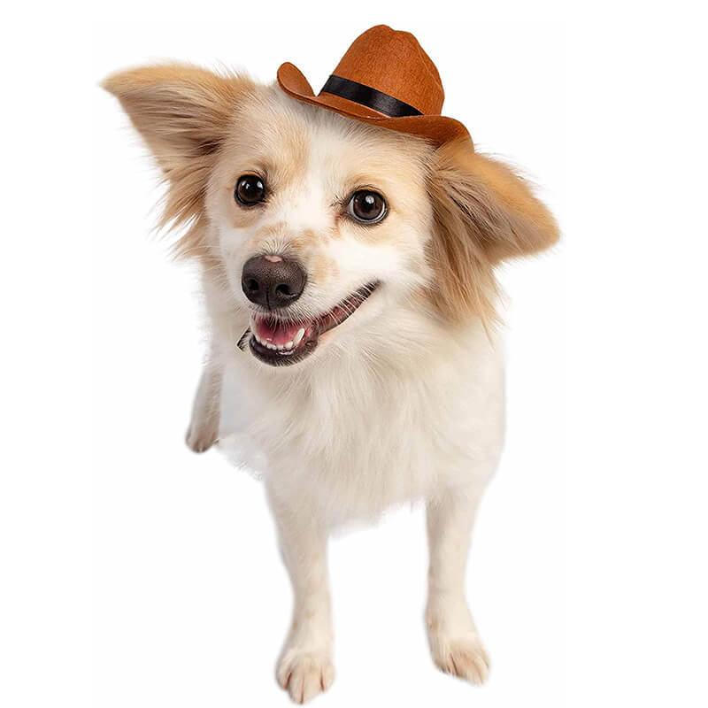 Cowboy Hat for Pets