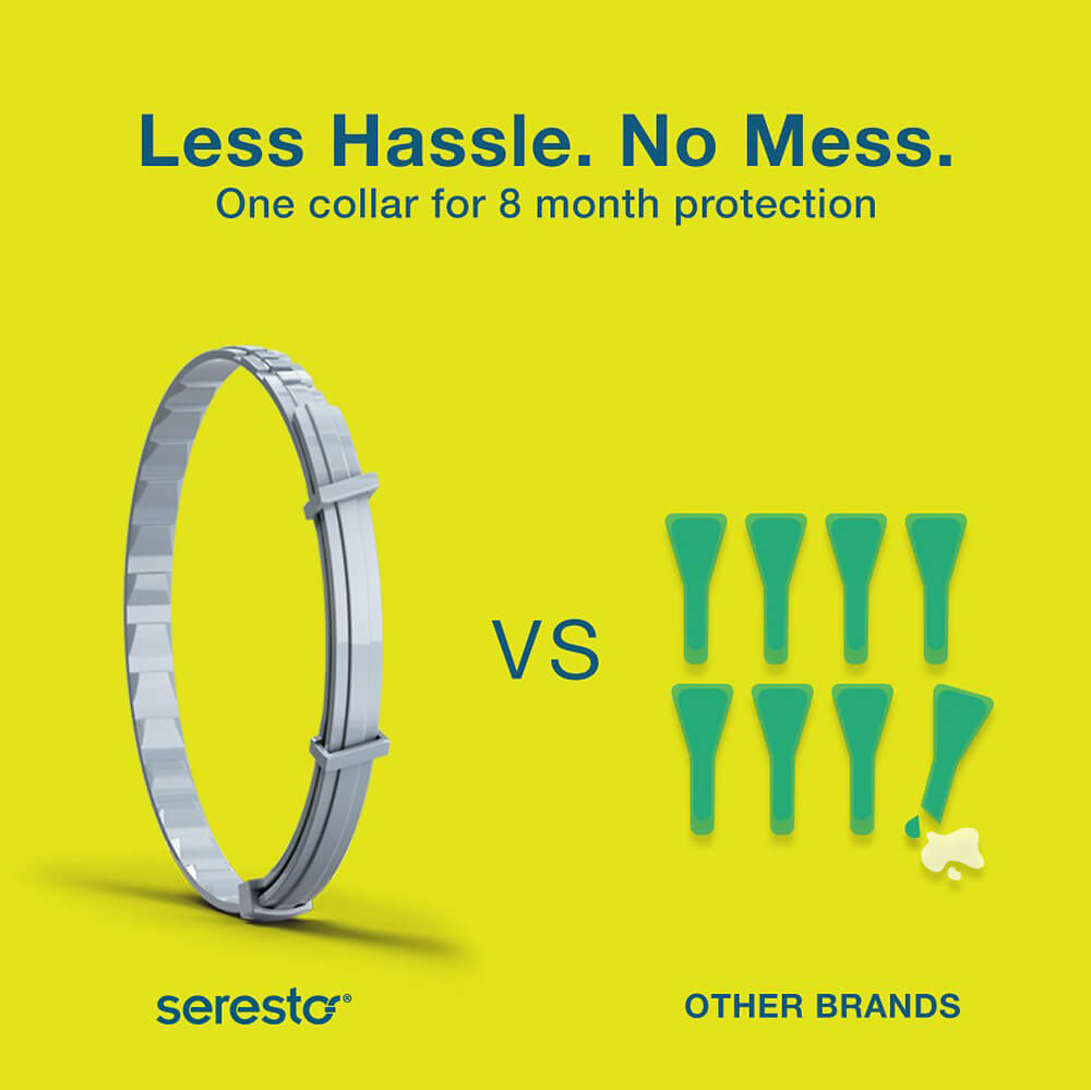 Seresto Cat Collar