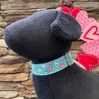 Dapper Dexter Blue Conversation Hearts Collar