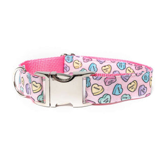 Dapper Dexter Pink Conversation Hearts Collar