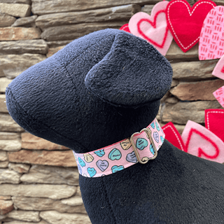 Dapper Dexter Pink Conversation Hearts Collar