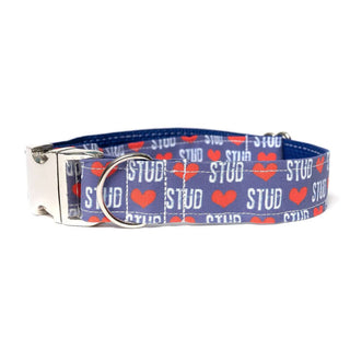 Dapper Dexter Stud Heart Collar