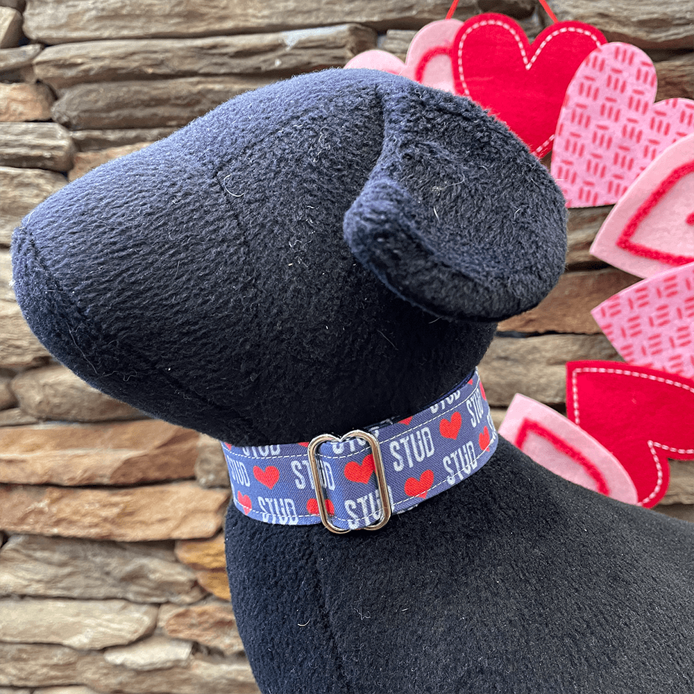 Dapper Dexter Stud Heart Collar