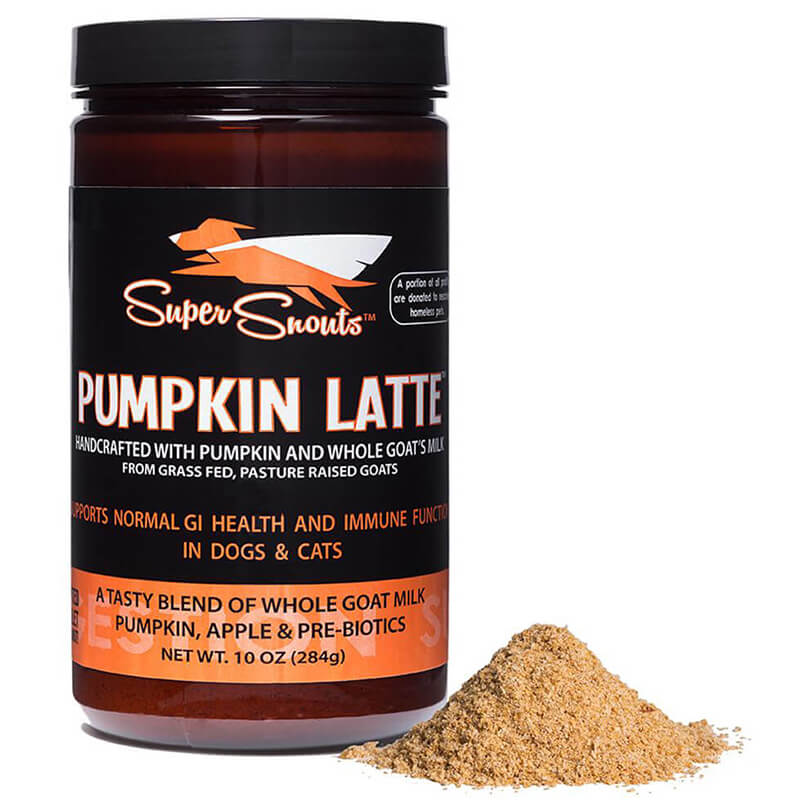 Diggin Your Dog Pumpkin Latte