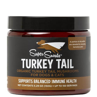 Diggin Your Turkey Tail Powder