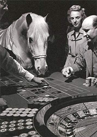 Avanti America Collection Birthday Card - Lucky Silver Plays Roulette
