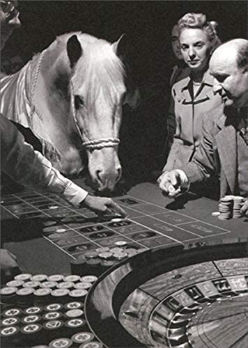 Avanti America Collection Birthday Card - Lucky Silver Plays Roulette