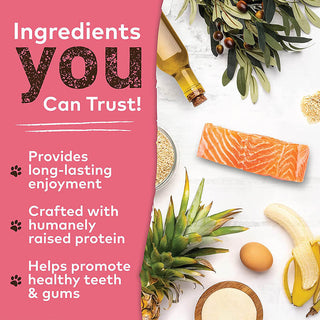 Earth Animal No Hide Salmon Chews