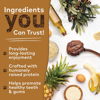 Earth Animal No Hide Venison Chews