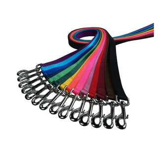 2 Hounds  Nylon Leash with Adjustable Handle