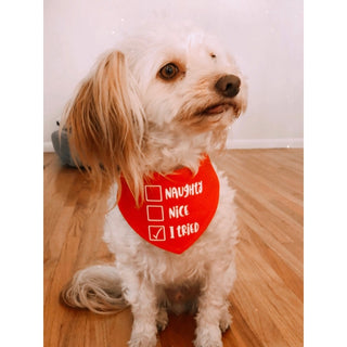 Three Fluffy Tails Naughty Nice Bandana