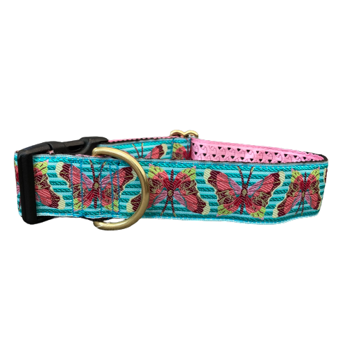Mackenzie Collar Butterfly on Turquoise