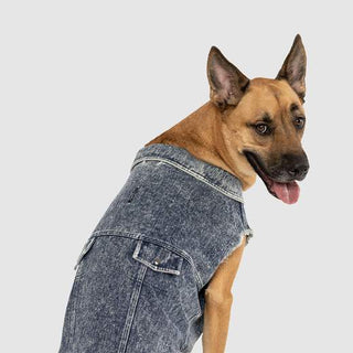 Canada Pooch Downtown Denim Vest